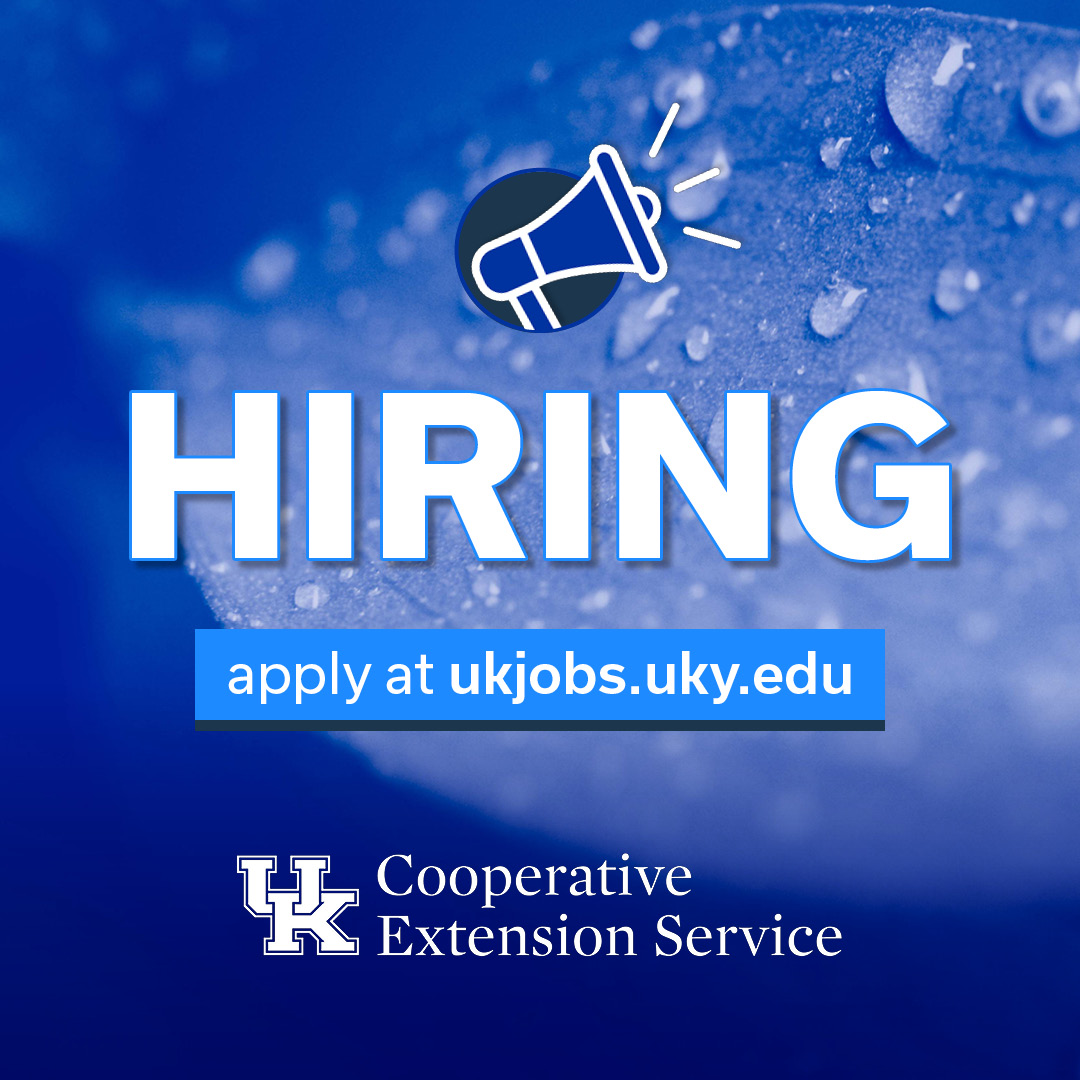 Hiring graphic