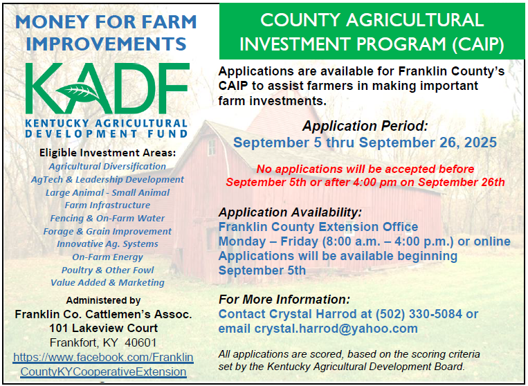 CAIP flyer with application period text